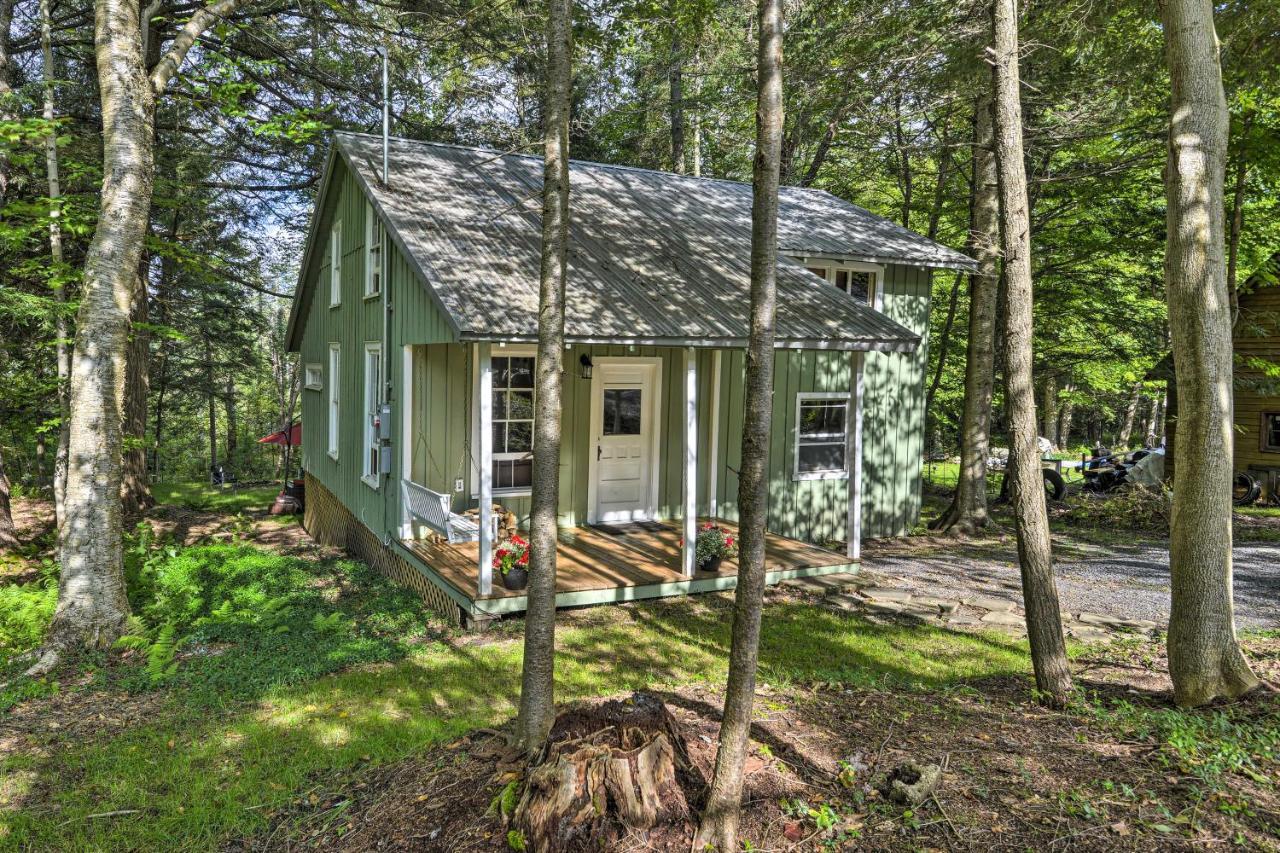 Adirondacks Cabin With Fire Pit On Otter Lake! Forestport 外观 照片